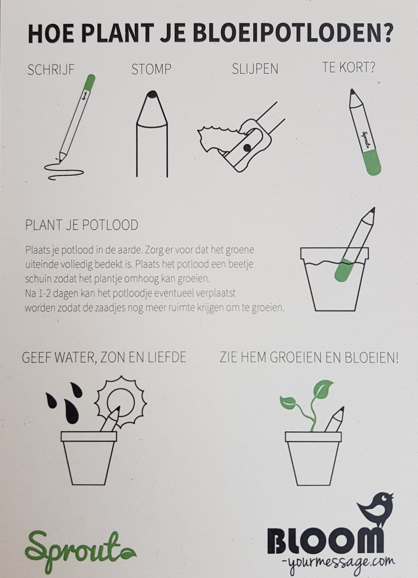 Bloeipotloden - Cherrytomaat