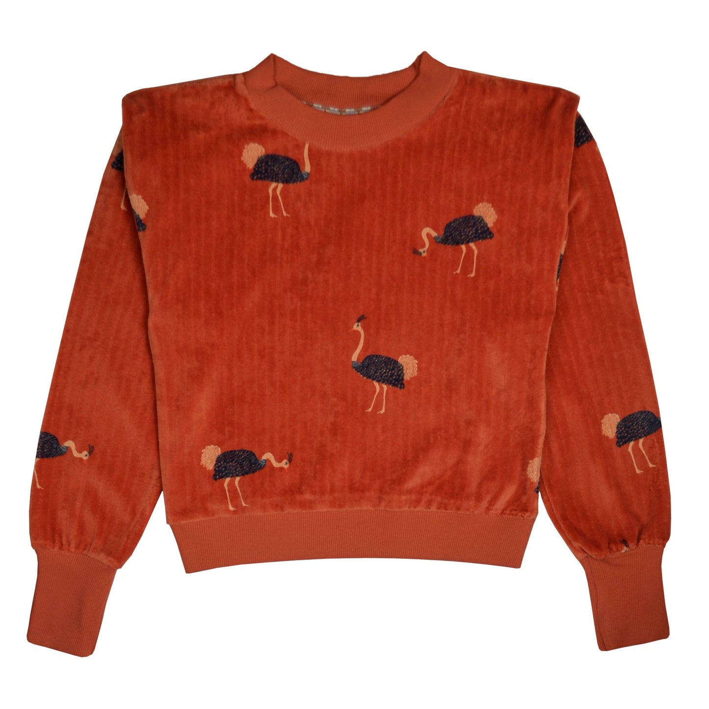 Gea Sweater Velvet Velours - Ostrich