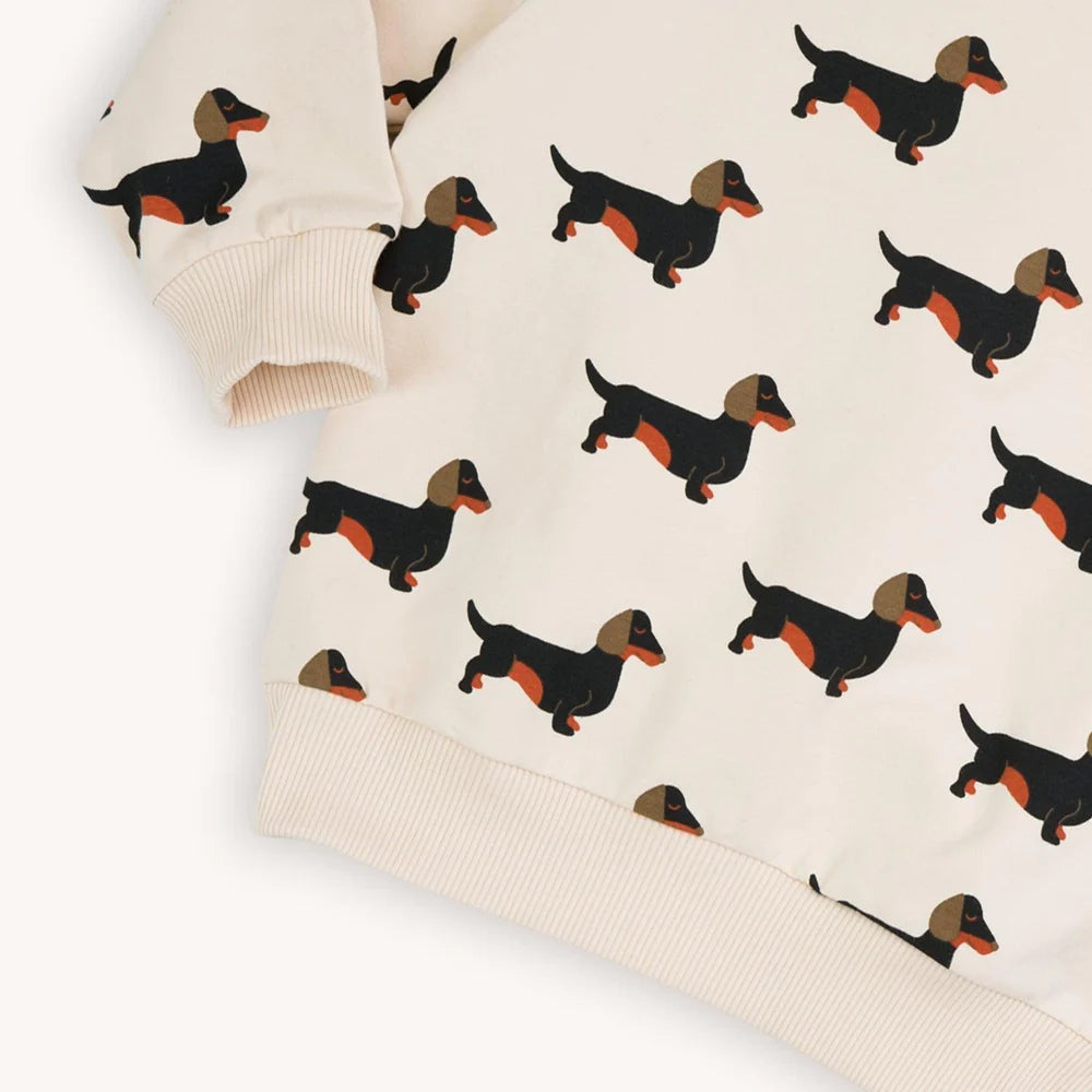 Dachshund - Sweater