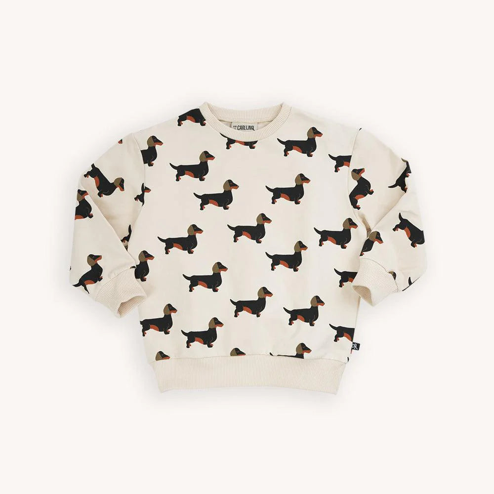 Dachshund - Sweater