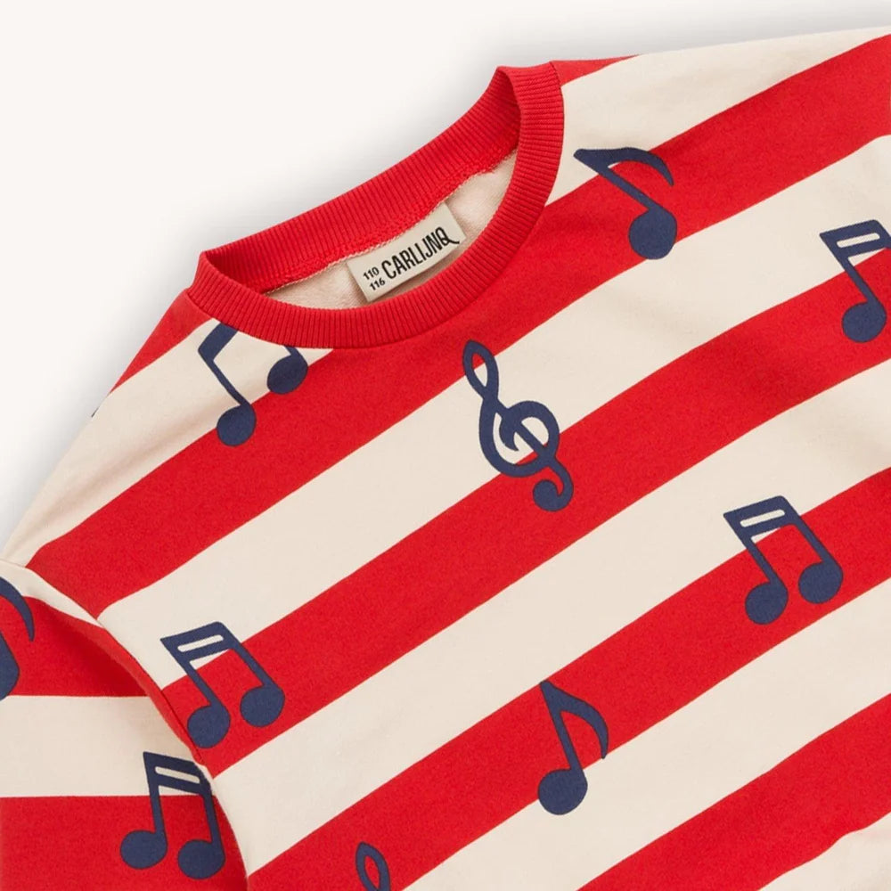 Music Notes - Sweater
