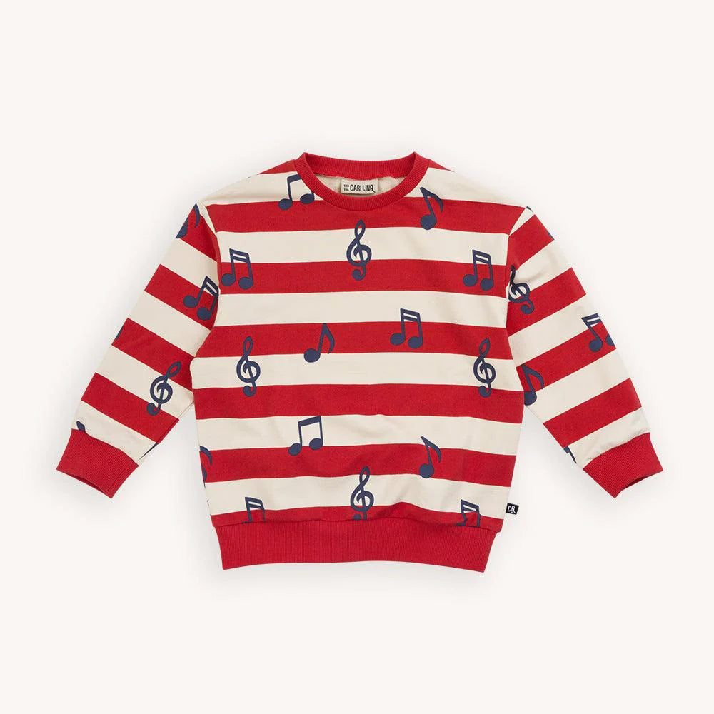 Music Notes - Sweater
