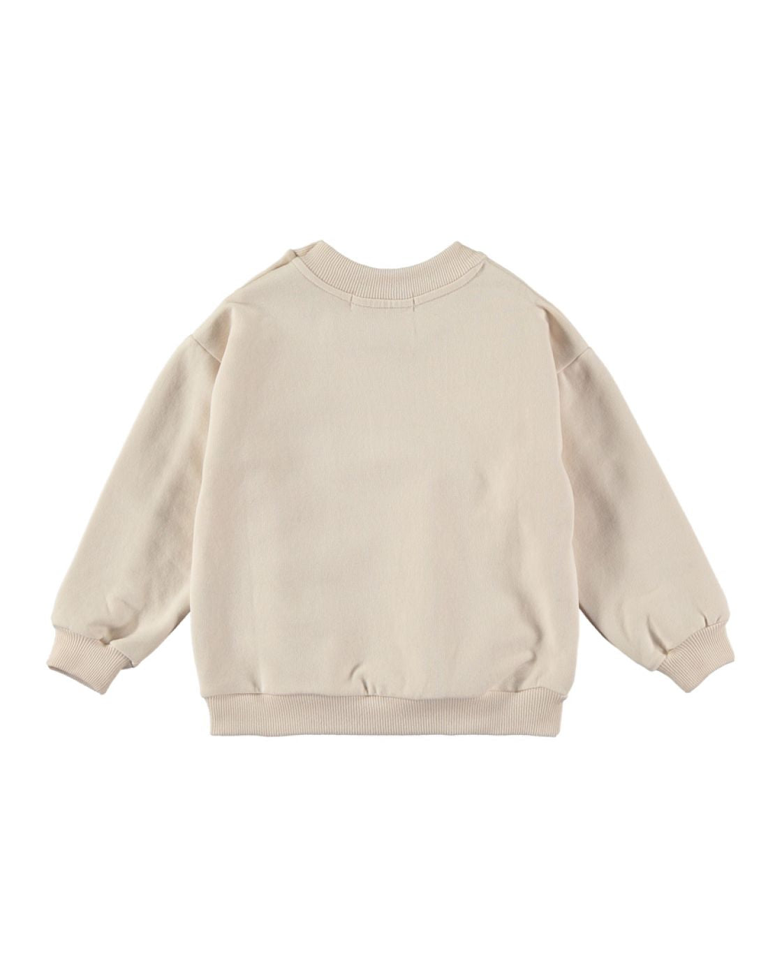SWEATSHIRT - RAINBOW