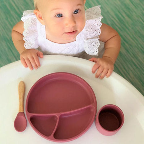 Minikoioi Portions - Siliconen Bord met Zuignap - Rose