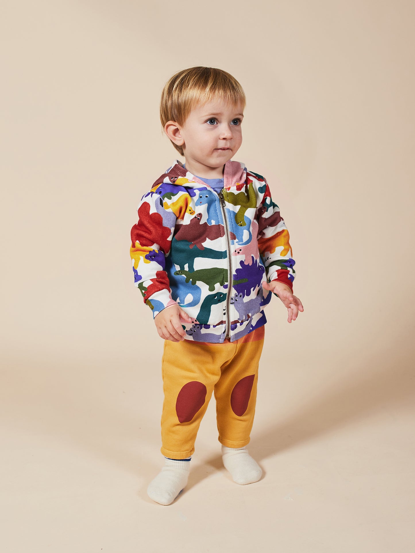 Dinos All Over Hooded Sweatshirt - Baby