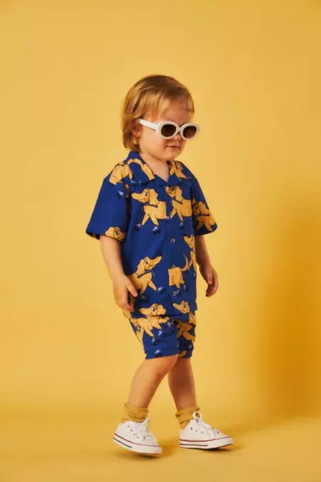 *Roller Indigo - Shorts