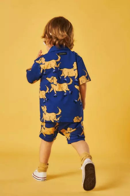 *Roller Indigo - Shorts