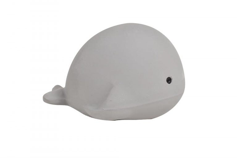 Mijn Eerste Oceaandiertje - Walvis