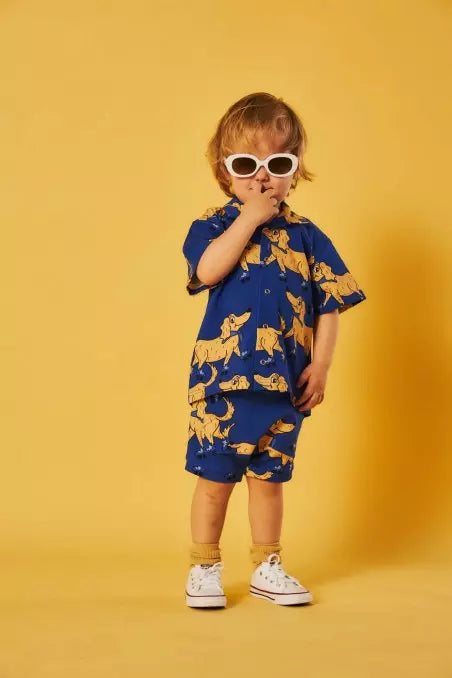 Roller Indigo - Shirt