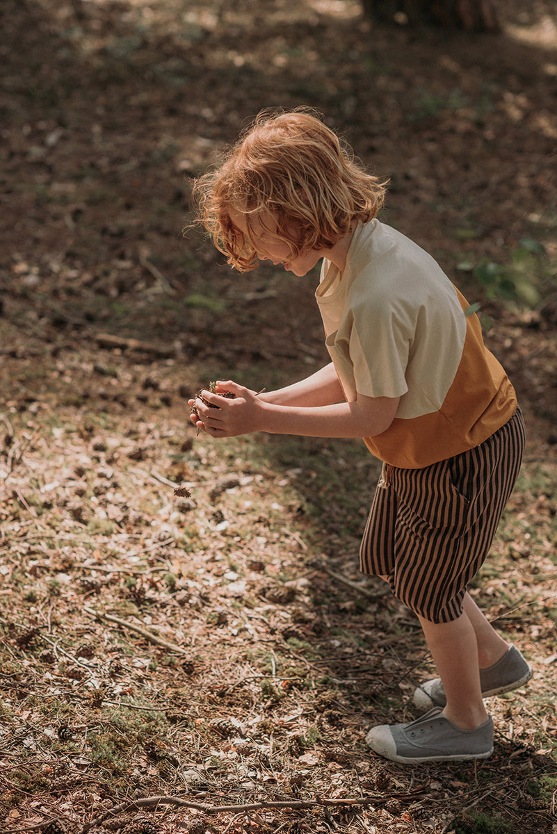 Bermuda Shorts - Stripe