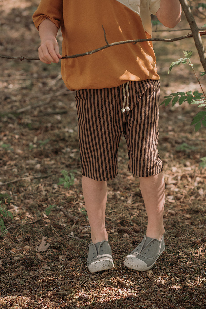 Bermuda Shorts - Stripe