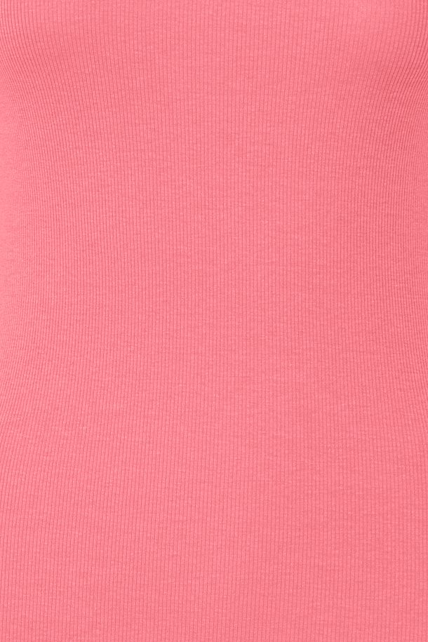 Frhizamond Top 14 - 171930 Camellia Rose