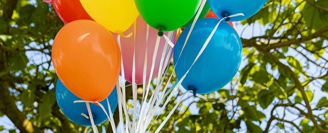 SESSA - ZOMER EN LENTE 2024     ❤️ SALE  ❤️