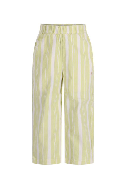 Pants Atlas Green stripes