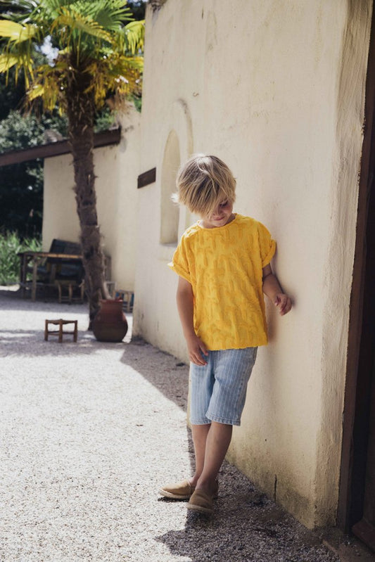 Noah Denim-Stripe
