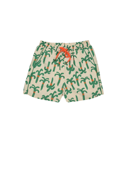 Tyler Green-Palmtree