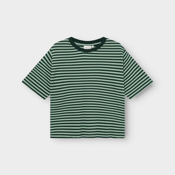 T-shirt Vadstena  - Stripes dark green/granite green