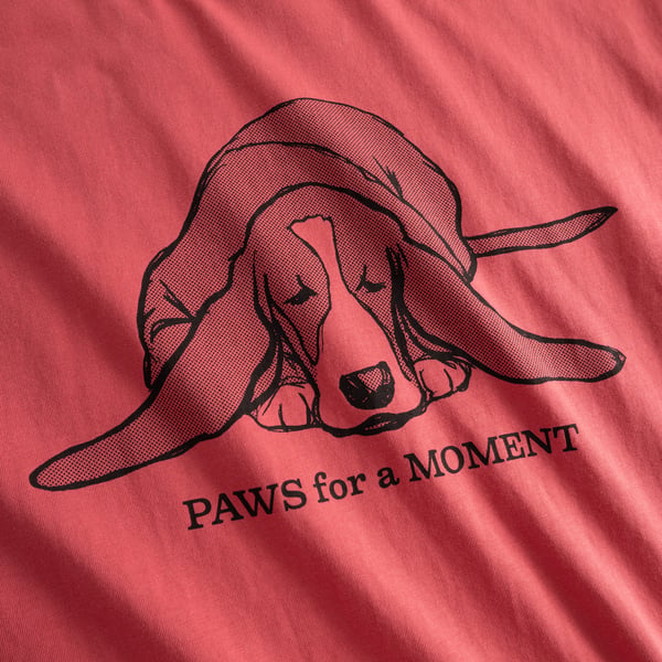 T-shirt Vadstena  Paws for moments Holly red berry