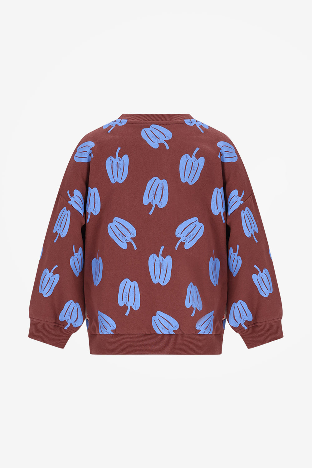 Billie sweater paprika ao
