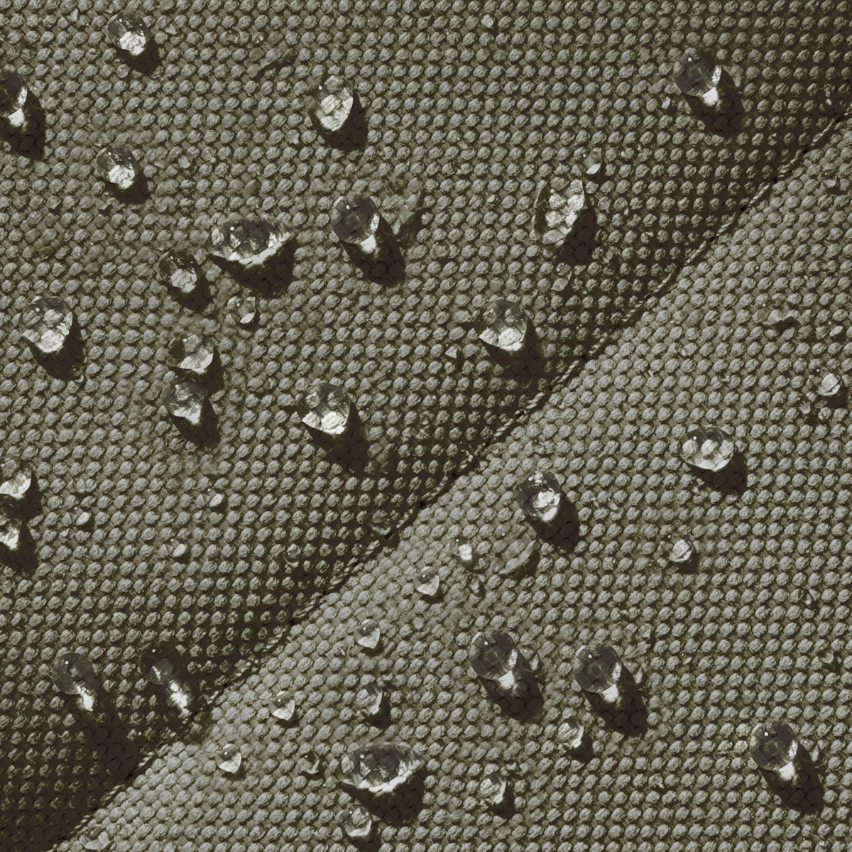 Nolan - Original - Olive