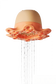 Flot - Tako