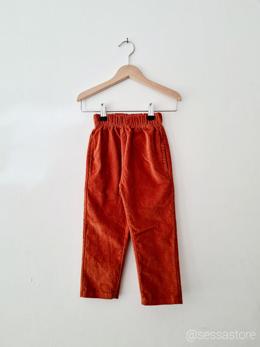 Velvet Trousers Solid Cinnamon
