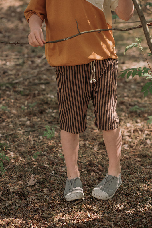 Bermuda Shorts - Stripe